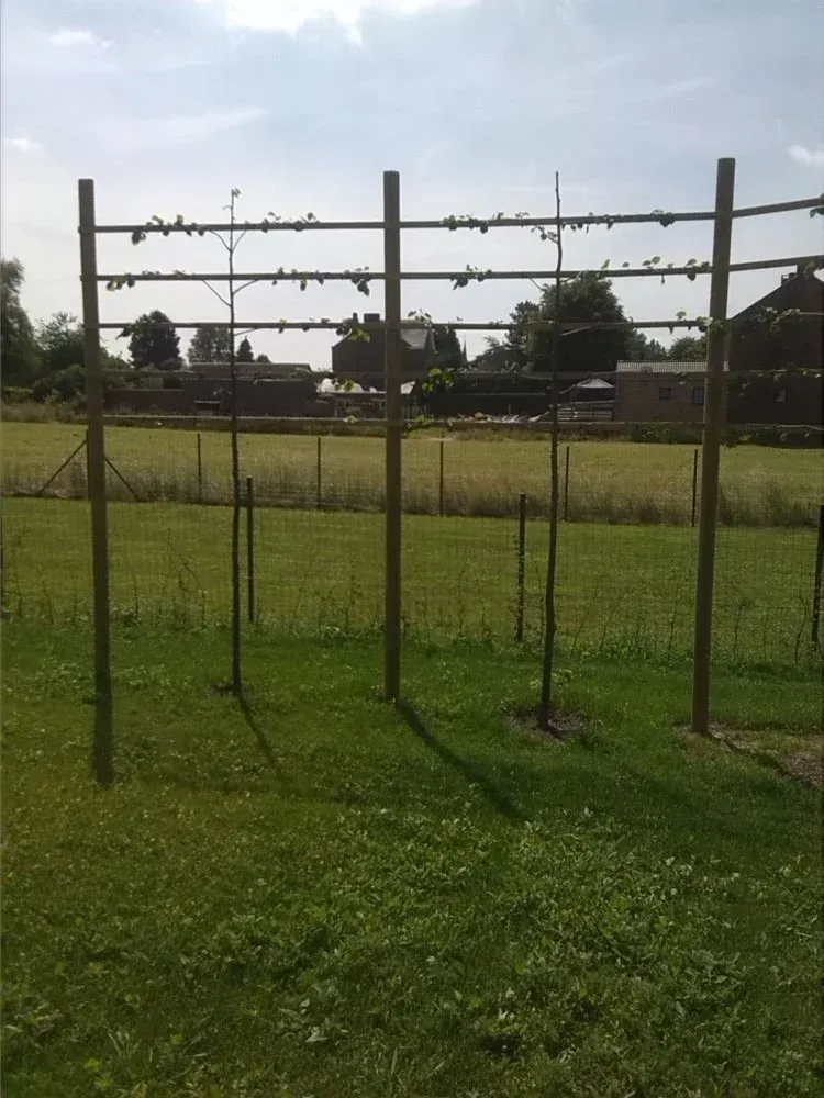 amenagement ext (13)