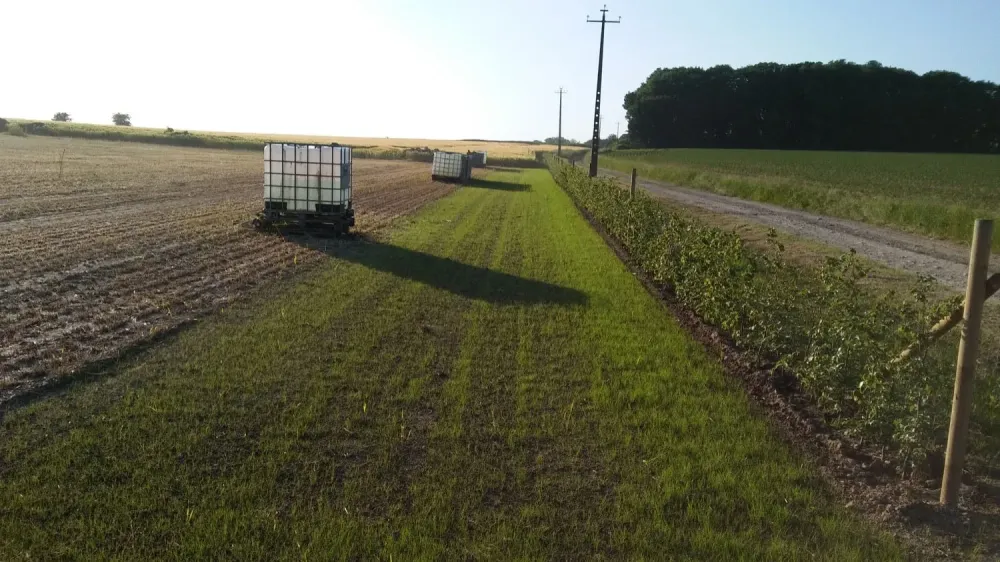 Création de pelouse à Gembloux